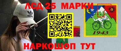 шишки Пенза