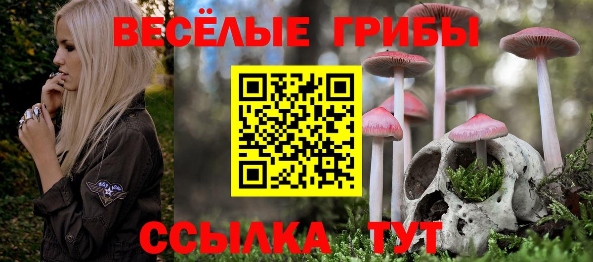 Галлюциногенные грибы мицелий  купить  сайты  Псилоцибиновые грибы Psilocybine cubensis  Советская Гавань  Вход с VPN 