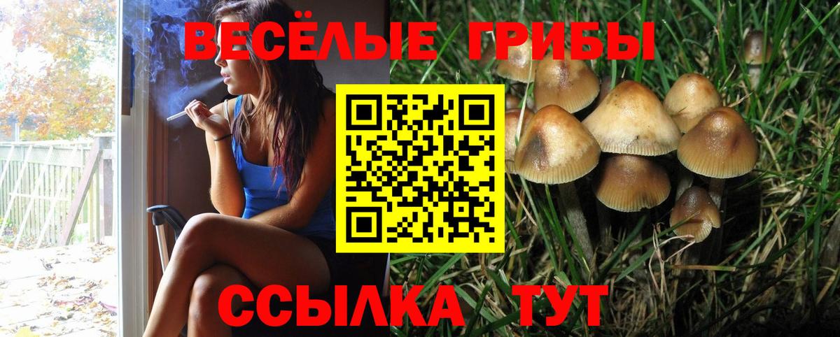 Псилоцибиновые грибы MAGIC MUSHROOMS Советская Гавань